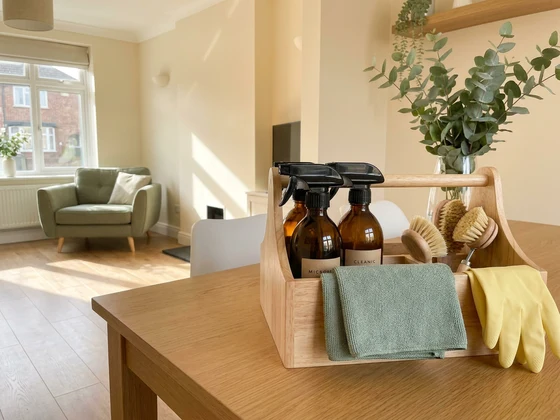 Professional cleaning kit ready for a Repton home clean